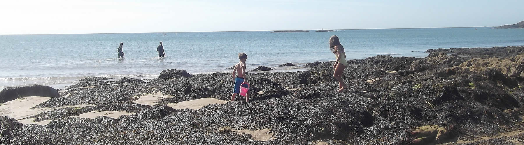 Children Playing in Rock Pools
