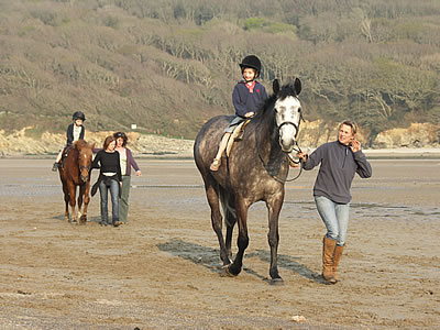 Horse Riding & Pony Trekking